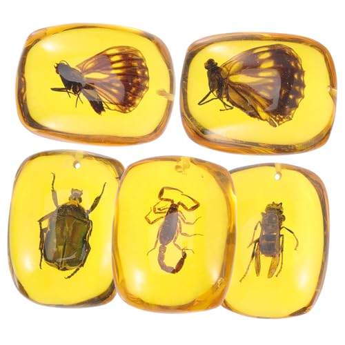DECOMELODY 5 Stück Teiliges Bernstein Anhänger mit Insektenexemplaren Vorgebohrt Langlebiges Verarbeitung DIY Schmuck Zubehör für Halsketten Armbänder und Kreative Bastelprojekte DECOMELODY 5 Stück Teiliges Bernstein Anhänger mit Insektenexemplaren Vorgebohrt Langlebiges Verarbeitung DIY Schmuck Zubehör für Halsketten Armbänder und Kreative Bastelprojekte von DECOMELODY