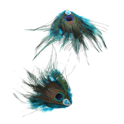 DECORNIJIA 2 Stück Vintage Pfauenfedern Haarspangen mit Strass Bunte Ethno Haarschmuck Clips für Damen Exotische Kopfbedeckung Robust und Einfach zu Tragen für Hochzeiten und Tanzpartys von DECORNIJIA