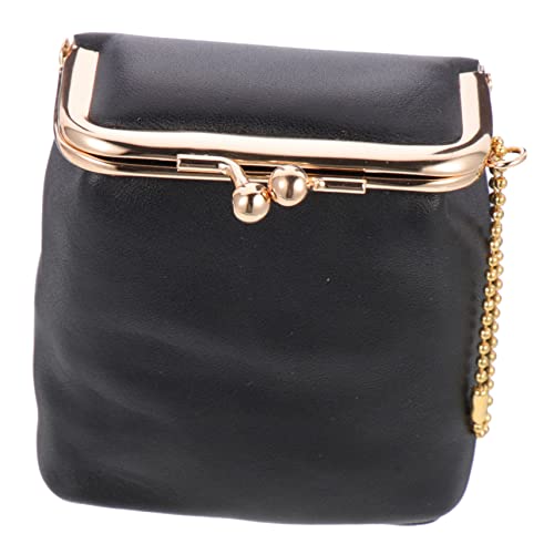 DECORNIJIA Mini Lippenstift Organizer Etui aus Langlebigem Material Kompakte Make Up Tasche für Mädchen Praktisch Leicht zu Reinigen als für Frauen und Unterwegs von DECORNIJIA