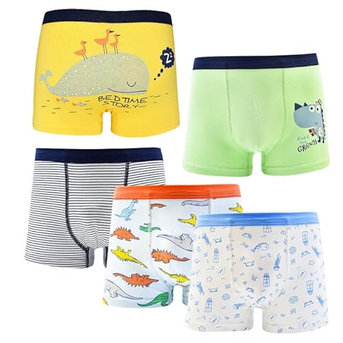 DECOVICI Boxershorts Jungen Kinder 5er Pack, Unterhose für Kleinkinder 2-4 Jahre Baumwolle Unterwäsche Dinosaurier Tier Muster Schlüpfer(2-4 Jahre,Bär+Wal+2 Dinosaurier+Unterwasserwelt) von DECOVICI