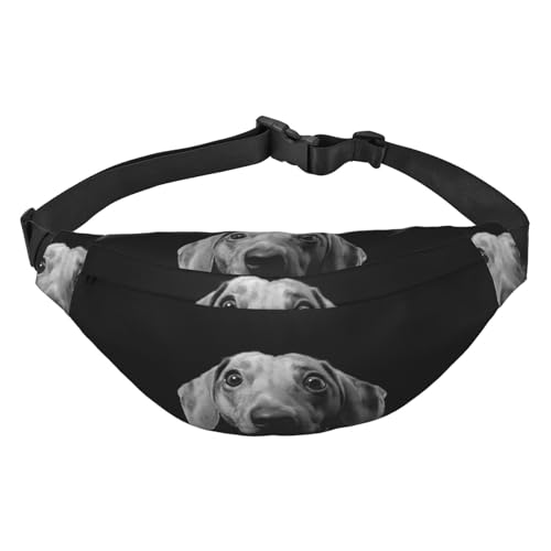 Lustige Hundegürteltasche für Damen und Herren, leicht, verstellbar, Umhängetasche, Reise-Gürteltasche für Workout, Laufen, Schwarz , Einheitsgröße von DEHIWI