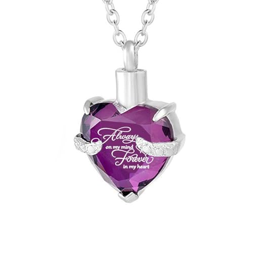 DEJIN Halskette mit Herz-Kristall-Anhänger, Knochen, Asche, Urnenanhänger, Halskette für immer in meinem Herzen, Andenken, Stein von DEJIN