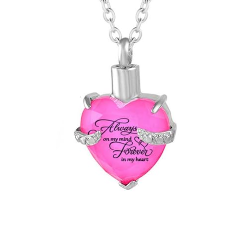 DEJIN Halskette mit Herz-Kristall-Anhänger, Knochen, Asche, Urnenanhänger, Halskette für immer in meinem Herzen, Andenken, Stein von DEJIN