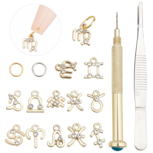 DELORIGIN 126 Stück Dangle Nail Art Charms Sets 12 Konstellationen Anhänger Nagelschmuck Ringe mit Nagel Piercing Tool Strass Gels Dekorationen für Frauen DIY Nagel Design Tipps Handwerk Schmuck von DELORIGIN