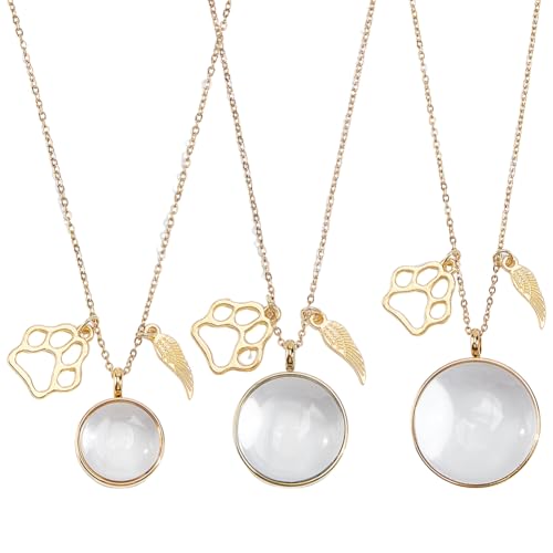 DELORIGIN 3 Stück Gedenkkette Für Tierhaare Fell Asche Andenken Halskette Transparente Medaillon Halsketten Mit Flügel Und Pfote Katzen Und Hundeurnenbild Gedenkschmuck Für Frauen Und Männer von DELORIGIN