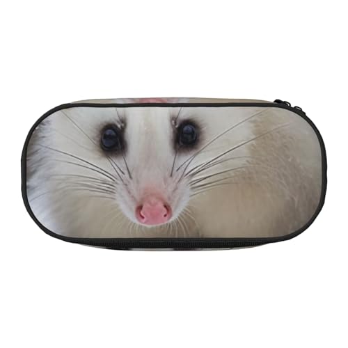 Federmäppchen mit tropischem Strandpalmen-Motiv, bedrucktes Oxford-Gewebe mit geräumigem Design für Schule, Büro, Reisen – Mehrzweck-Schreibwaren und Make-up-Tasche, Opossum im Schnee, Einheitsgröße von DENMER