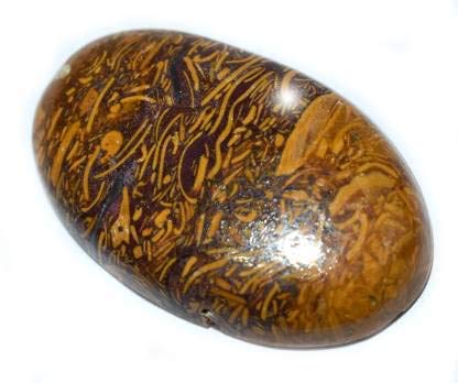 15.25 Ratti Natural Mariyam Fossil Healing Edelstein Mineral Mariyam Edelstein Cabochon unbehandelter Stein B0C2Q7SX-1D von DENMOUS