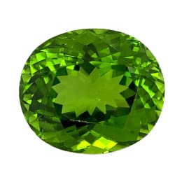 DENMOUS 9,25 Ratti 8,25 Karat unbehandelter natürlicher Peridot loser Edelstein Edelstein von Labor zertifizierte Qualität für Damen und Herren - B0C4HH7K-DNM von DENMOUS