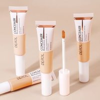 DEROL - Inspiration Painter High-efficiency Concealer - 4 Colors #01 Porcelain von DEROL