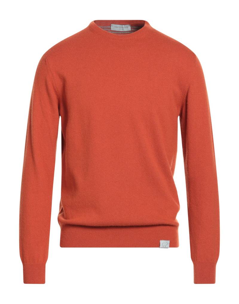 DETWELVE Pullover Herren Rostrot von DETWELVE