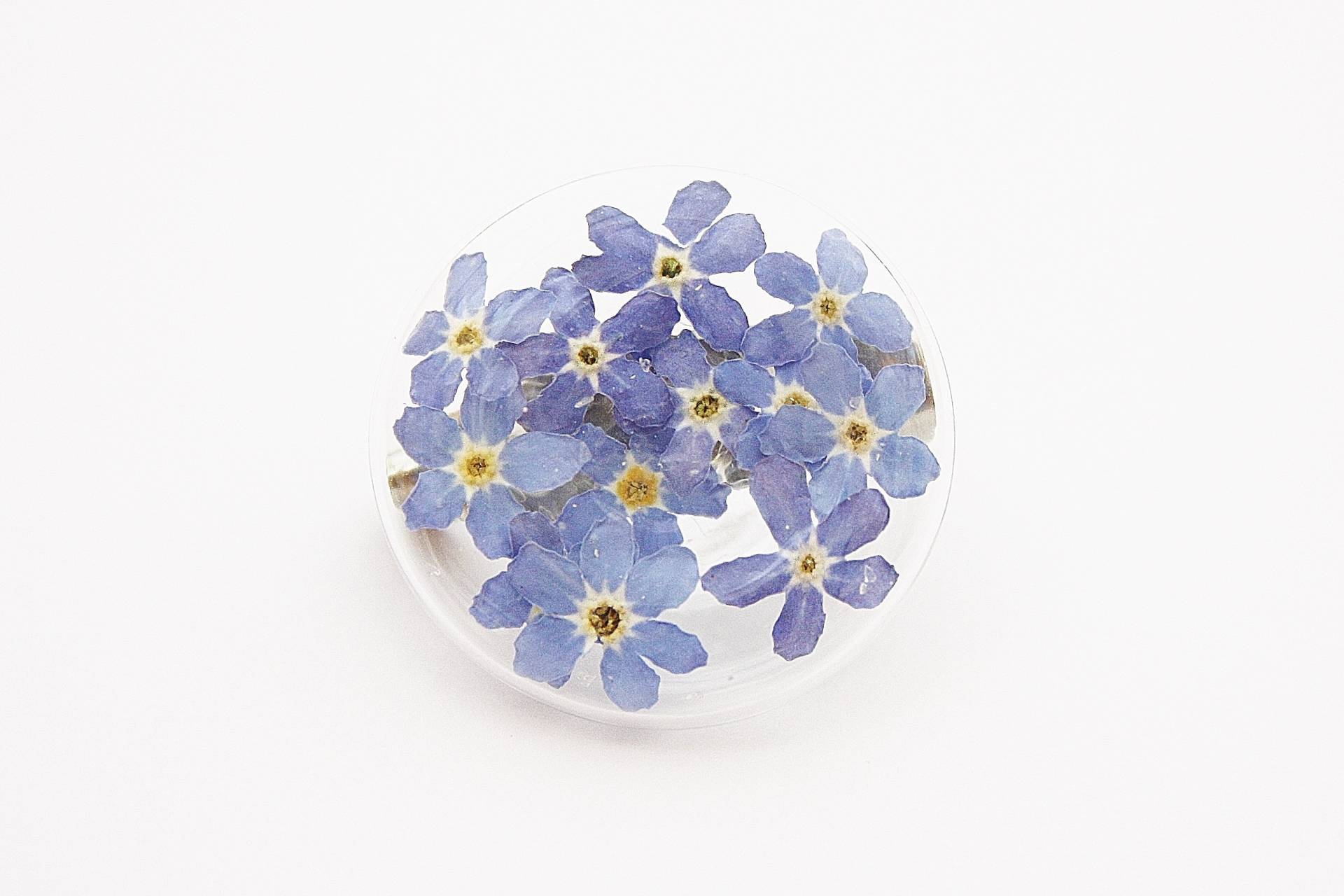 Echte Blaue Vergissmeinnicht Button Anstecknadel, Geschenk Für Frauen Und Männer, Individueller Schmuck von DGSchmuckdesign