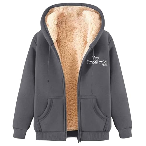 DGZTWLL Fleecejacke Damen Kapuzenpullover Plüschjacke Damen Teddy-Fleece Warm Herbst Wintermantel Stilvoller Schaltflächen Fellmantel PlüSchjacke von DGZTWLL