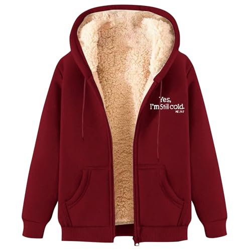 DGZTWLL Fleecejacke Damen Kapuzenpullover Plüschjacke Damen Teddy-Fleece Warm Herbst Wintermantel Stilvoller Schaltflächen Fellmantel PlüSchjacke von DGZTWLL