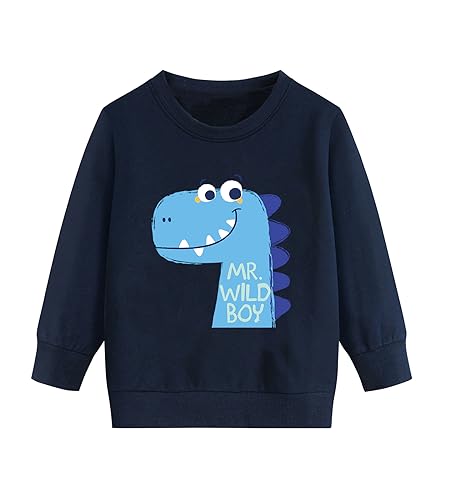 DHASIUE Baby Jungen Sweatshirts Baumwolle Tops Pullover Kinder Jungen Kleinkind Winter Warme Langarm Shirts Oberteilung Dinosaurier Blau 2 Jahre 92 von DHASIUE