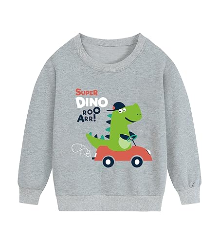 DHASIUE Jungen Sweatshirts Kleinkind Streetwear Pullover Baumwolle Winter Baby Jungen Langarm Shirts Tops Oberbekleidung Dinosaurier Auto Grau 5 Jahre 110 von DHASIUE