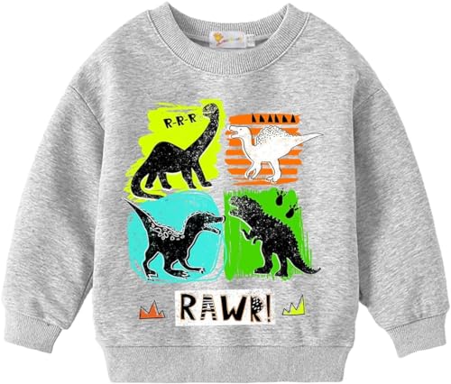 DHASIUE Kleine Jungen Dinosaurier Sweatshirts Kleinkind Top T-Shirt Rex Dino Baby Fossil Print Rawr Pullover von DHASIUE