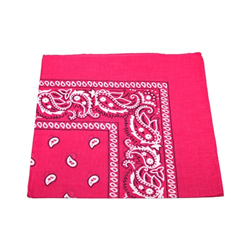Unbekannt Bandana Kopftuch Halstuch Nickituch Biker Tuch Motorad Tuch verschied. Farben Paisley Muster, Pink, ... von DHOBIA