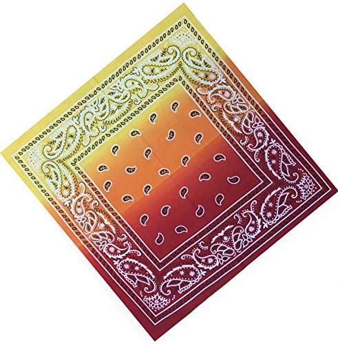 Unbekannt Bandana Kopftuch Halstuch Nickituch Biker Tuch Motorad Tuch verschied. Farben Paisley Muster, Rot/Gelb Double, ... von DHOBIA