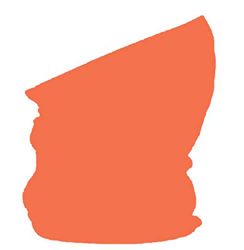 ledermodefashion Multifunktionstuch Schlauchtuch Halstuch Loop Schal Motorrad Loop Bandana (Dunkel Orange) von DHOBIA
