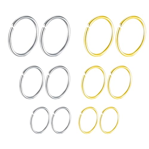 DHWEKU 12 Stück Fake Nasenpiercing Ring Set, Fake Nase Lippe Ring,Nasenpiercing Schmuck Edelstahl Nasenringe Hoop, Septum-Knorpelring-Set Für Damen Männer(6mm 8mm 10mm) von DHWEKU
