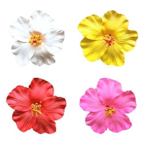 4 x hawaiianische Blumen-Haarspangen für Damen und Mädchen, künstliche Clips aus Schaumstoff, Luau für Frauen, Brautschmuck, Hochzeit, Tropi, Strand von DHliIQQ