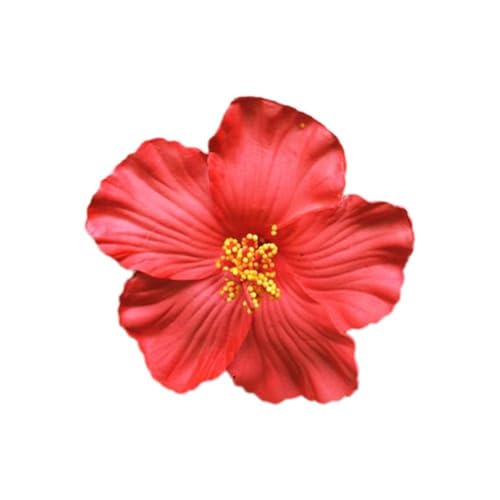 Hawaiianische Blumen-Haarspange für Damen und Mädchen, künstliche Clips, Schaumstoff-Blumen-Clips, tropische Luau-Brautschmuck, für Frauen, Hochzeit, Pa, Strand von DHliIQQ
