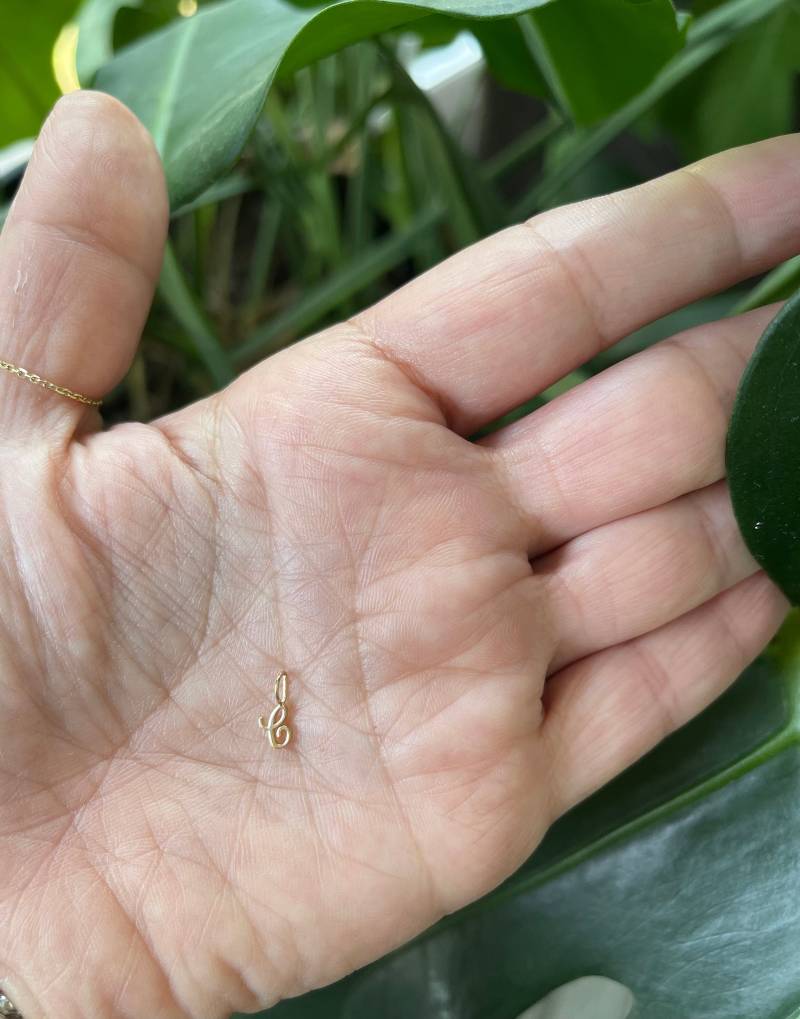14K Gold Initial Script Anhänger Zierlicher Kursiver Buchstabe Anhänger von DIAMONDFORLOVE