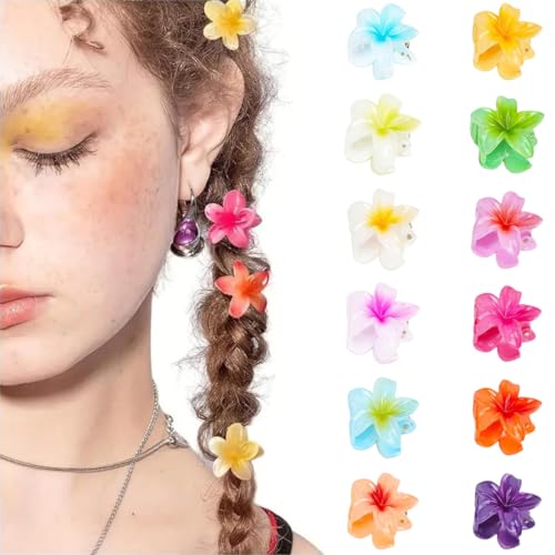 DIFLAX 12 Stück Blumen Haarklammer, Klein Haarspange, Blume Haarklammer, Blumenhaarklammer, Mini Blumen Haarklammern, Blumenklammern Haare für Frauen, Mädchen, Mittleres und Dünnes Haarstyling Zubehör von DIFLAX