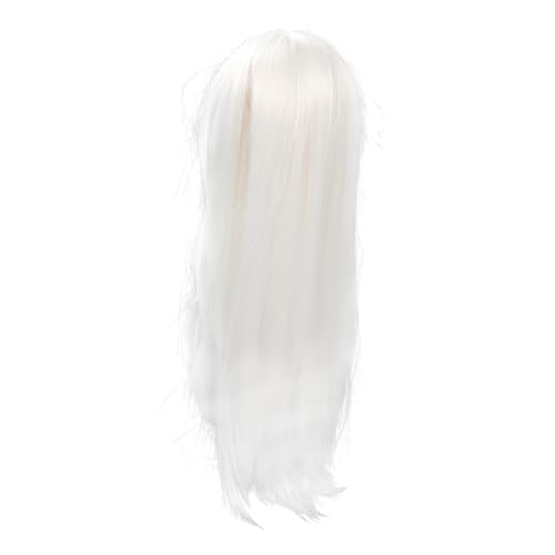 DIKACA Lange Weiße Herrenperücke Glatt Cosplay Haarteil für Hanfu Kostüm Hitzebeständige Kunstfaser Natürliche Optik Bequem und Langlebig Geeignet für Rollenspiele und Halloween von DIKACA