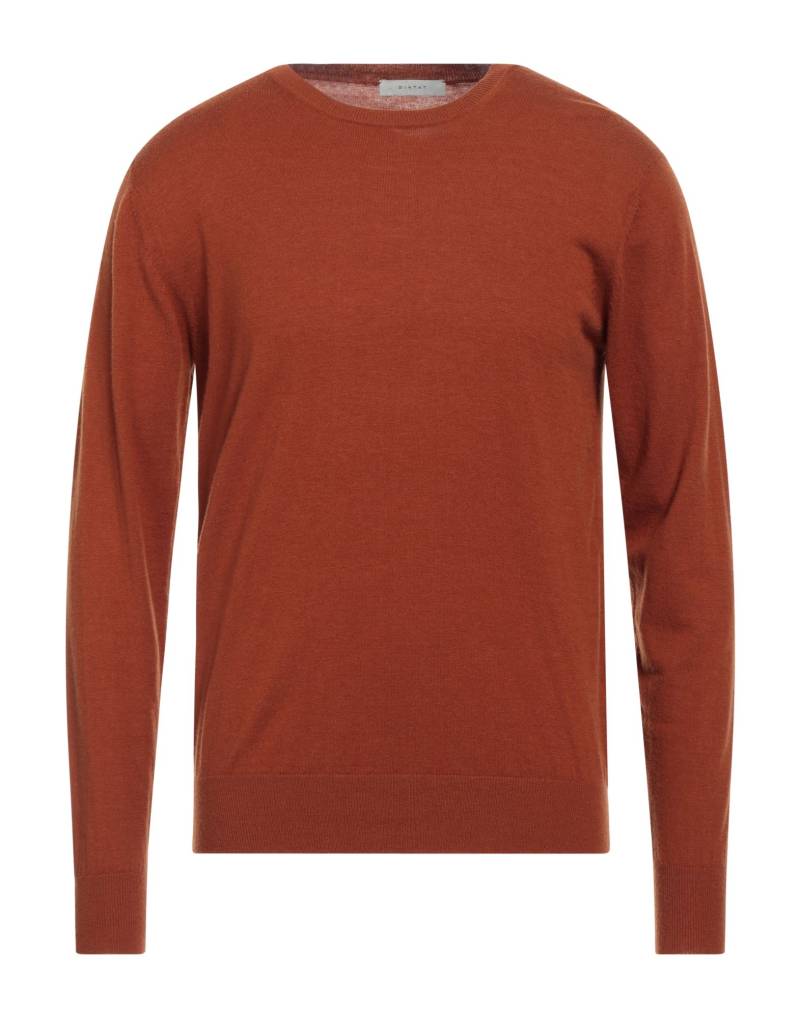 DIKTAT Pullover Herren Lederfarben von DIKTAT