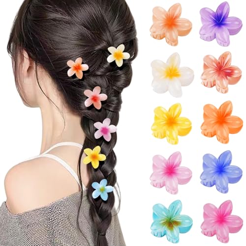 10 Stück kleine Haarklammern mit Blumen für Frauen und Mädchen, Mini-Haarklammern mit hawaiianischem Hibiskus, Sommer-Haarschmuck für dickes, dünnes und lockiges Haar von DIPZO