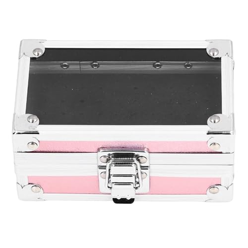 Nagelbohrer Bits Halter Drop Multi -Loch -Nägelbohrer Bits Stand Displayer Organizer Behälter für Nageltechniker Aluminiumlegierung Acryl (Dazzling Pink) von DIRBAK