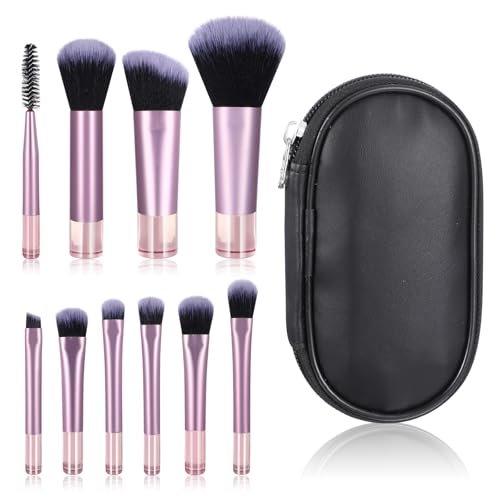 10-teiliges Reise-Make-up-Pinsel-Set, Mini-Make-up-Pinsel mit Make-up-Pinseltasche, tragbare Reisegröße, Make-up-Pinsel, professionelle Kosmetikpinsel für Foundation-Pinsel, Rouge, Puder, Lidschatten von DIVINA VITAE