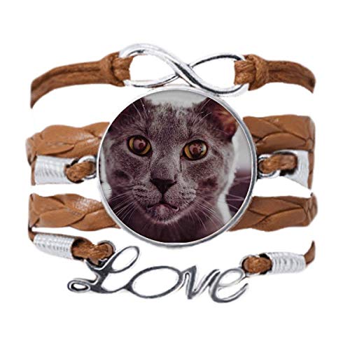DIYthinker Armband mit Tiermotiv, großes Auge, graue Katze, Foto-Armband, Liebeskette, Seil, Ornament, Armband, Geschenk, Nicht zutreffend. von DIYthinker