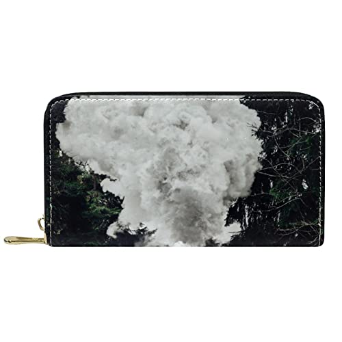 DJNGN Brieftasche Leder Leder Reißverschluss Lange Geldbörse Schleppeschön von DJNGN