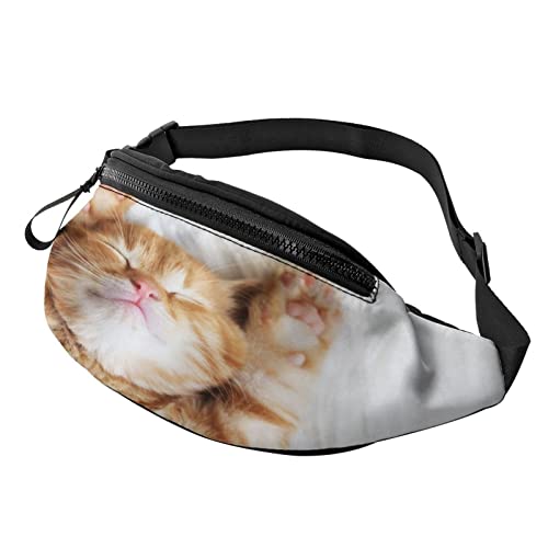 Kitten Sleeps Running Fanny Pack Gürteltasche mit verstellbarem Riemen für Frauen Männer Sport Fitness Hände frei Brieftasche Gürteltasche von DJNGN