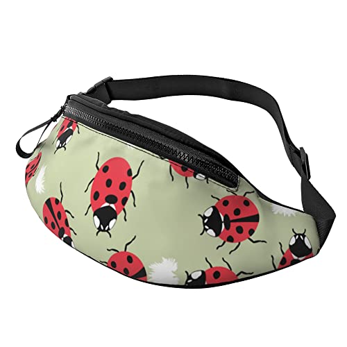 Marien -Fanny-Pack für Männer und Frauen, Crossbody-Gürteltasche, Gürteltasche für Reisen, Wandern, Laufen, Wandern, Radfahren von DJNGN