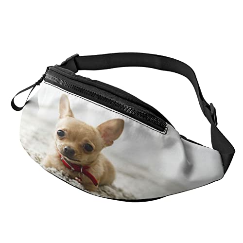 Süße Chihuahua Running Fanny Pack Gürteltasche mit verstellbarem Riemen für Frauen Männer Sport Fitness Hände frei Brieftasche Gürteltasche von DJNGN