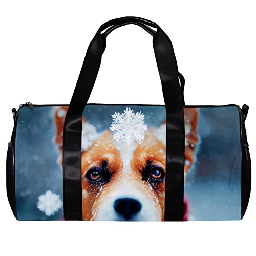 Runde Gym Sport Duffel Bag mit abnehmbarem Schultergurt Ein kalter Hund gewickelt in einen Schal im Schnee Training Handtasche Übernachtungstasche für Damen und Herren, mehrfarbig, 45x23x23cm/17.7x9x9in von DJROW