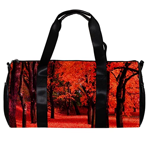 Runde Sporttasche mit abnehmbarem Schultergurt, roter Herbstpark, als schöner natürlicher Hintergrund, Trainingshandtasche, Übernachtungstasche für Damen und Herren, mehrfarbig, 45x23x23cm/17.7x9x9in von DJROW