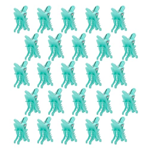 25 x voluminöse Haarklammern, Dauerwelle, Isolierungs-Clips, Herren, Mehrzweck-Styling-Werkzeuge, Haarstyling-Werkzeuge von DLUKENY