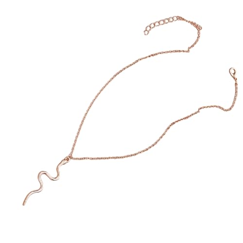 DLUKENY Dainty Designs Schlangen-Halskette, einzigartiger Schlangen-Anhänger, zierliche Halskette, Verzierung, um Ihren Stil zu verbessern, Metall DLUKENY Dainty Designs Schlangen-Halskette, einzigartiger Schlangen-Anhänger, zierliche Halskette, Verzierung, um Ihren Stil zu verbessern, Metall von DLUKENY