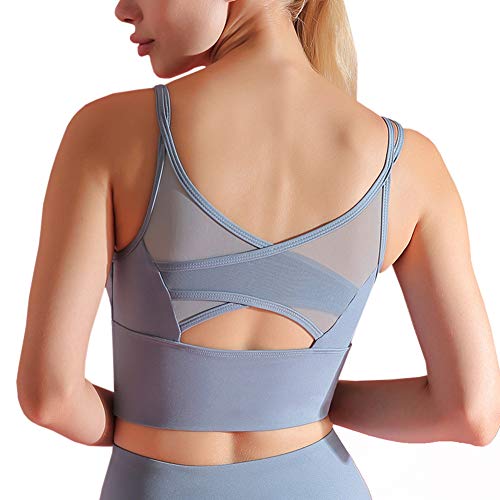 DMYG Damen Sport BH Yoga Fitness-Training mit Gepolstert Push Up Top BH Starker Halt ohne Bügel Bustier Blau S von DMYG