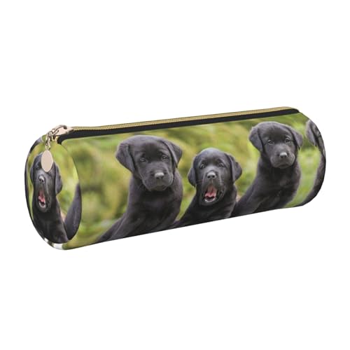 DNBCLEZK Federmäppchen mit Labrador-Retriever-Motiv, niedliches rundes Leder-Federmäppchen, hochwertiger glatter Reißverschluss, langlebiger Metallabzieher, Designer-Schreibwaren-Organizer für Schule DNBCLEZK Federmäppchen mit Labrador-Retriever-Motiv, niedliches rundes Leder-Federmäppchen, hochwertiger glatter Reißverschluss, langlebiger Metallabzieher, Designer-Schreibwaren-Organizer für Schule von DNBCLEZK