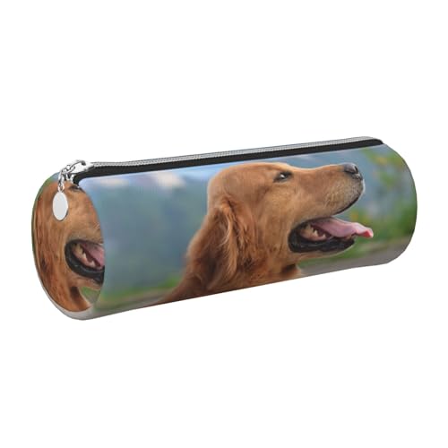 DNBCLEZK Golden Retriever Federmäppchen aus Leder, niedlich, rund, hochwertiger glatter Reißverschluss, langlebiger Metallabzieher, Designer-Schreibwaren-Organizer für Schule, Büro, silber von DNBCLEZK