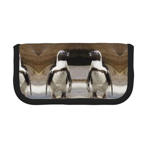 DNBCLEZK Großes Federmäppchen aus Segeltuch mit schwarzem Rand, Mehrzweck-Make-up-Tasche, Organizer, doppelter Reißverschluss (19 x 9 x 5 cm) von DNBCLEZK