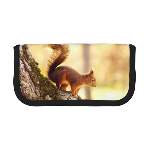 DNBCLEZK Lustiges Eichhörnchen-Federmäppchen aus Segeltuch mit großem Fassungsvermögen, schwarzer Rand, Mehrzweck-Make-up-Tasche, Organizer, doppelter Reißverschluss (19 x 9 x 5 cm) von DNBCLEZK
