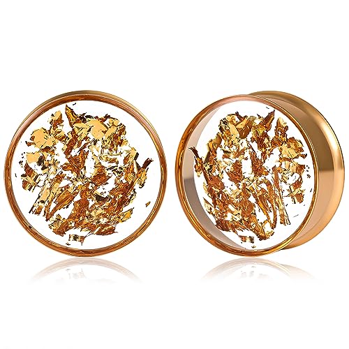 DOEARKO Ohr Flesh Tunnel 1 Paare Gold-Folie Ohr Tunnel Edelstahl Double Flared Ohr Plug Expander Ohrpiercing Gestreckte Schmuck für Frauen und Männer (Gold,14mm) von DOEARKO