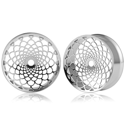 DOEARKO Ohr Flesh Tunnel 1 Paare Ohr Tunnel Plug Edelstahl Double Flared Ohr Plug Expander Hider Piercing Schmuck für Frauen und Männer (16mm,Silber) von DOEARKO