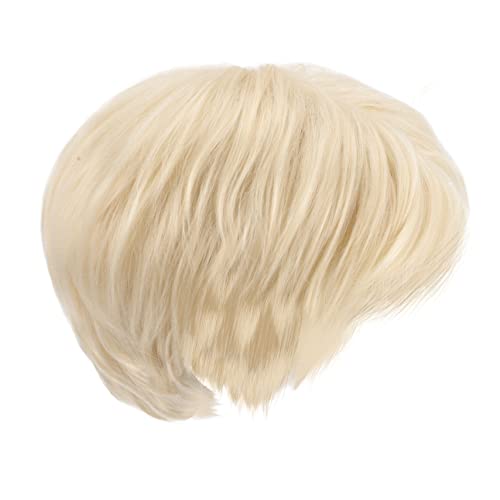 DOITOOL Perücke Kopfbedeckung Männer glattes Haar Perücke blonde Perücken Kostüm Perücke Tiara Männer Cosplay Perücke synthetisches Haarteil Europäisch und amerikanisch schmücken männlich von DOITOOL